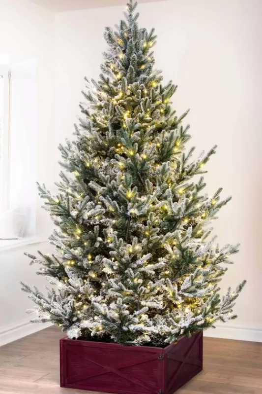 Tall Christmas Trees<Christmas Tree World The 10Ft Pre-Lit Frosted Ultra Mountain Pine