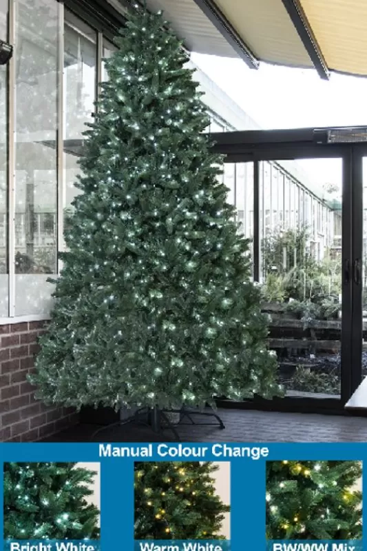 Tall Christmas Trees<Christmas Tree World The 10Ft Ultra Devonshire Fir Pre-Lit With Warm White/White Colour Change Leds