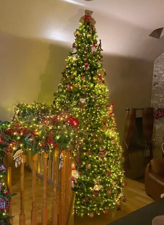 Tall Christmas Trees<Christmas Tree World The 12Ft Arbor Ultima Tree