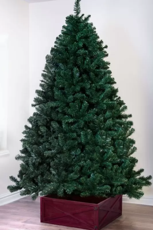 Tall Christmas Trees<Christmas Tree World The 12Ft Arbor Vitae Fir Tree