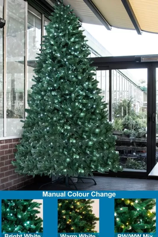 Tall Christmas Trees<Christmas Tree World The 12Ft Ultra Devonshire Fir Pre-Lit With Warm White/White Colour Change Leds