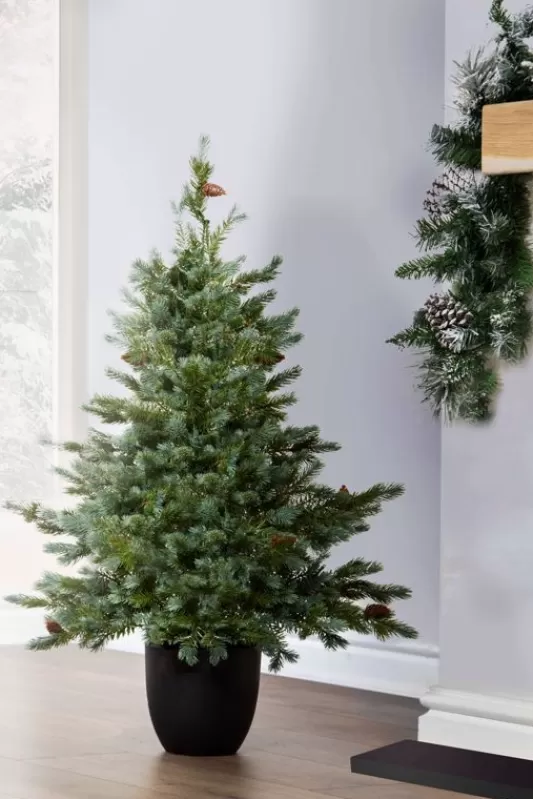 Ultra Realistic Christmas Trees<Christmas Tree World The 3Ft Cairngorm Pine Potted Tree (Indoor/Outdoor)