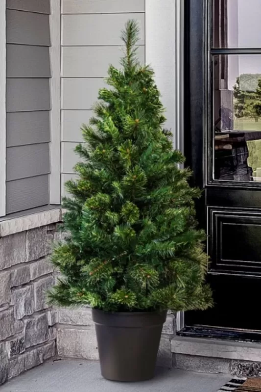 Outdoor Artificial Trees<Christmas Tree World The 4Ft Majestic Dew Pine Potted Tree (Indoor/Outdoor)