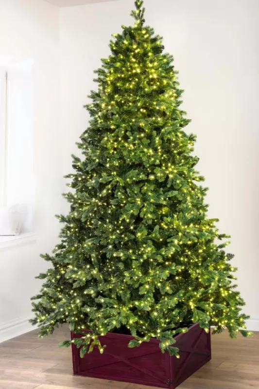 Ultra Realistic Christmas Trees<Christmas Tree World The 6Ft Ultra-Lit Montagna Fir Tree