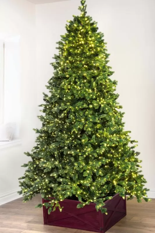 Ultra Realistic Christmas Trees<Christmas Tree World The 8Ft Ultra-Lit Montagna Fir Tree