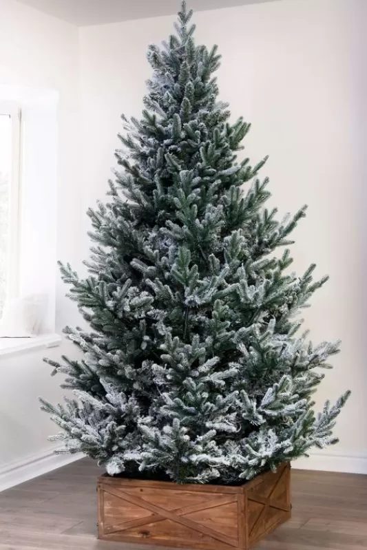 As Seen On Tv<Christmas Tree World The Frosted Ultra Mountain Pine (6Ft To 7Ft)