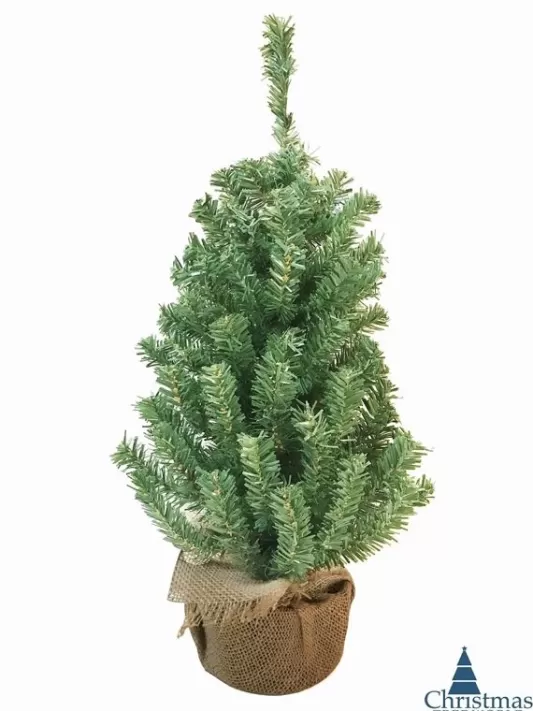 Traditional Christmas Trees<Christmas Tree World The Potted Mountain Pine Tree (60Cm To 90Cm)