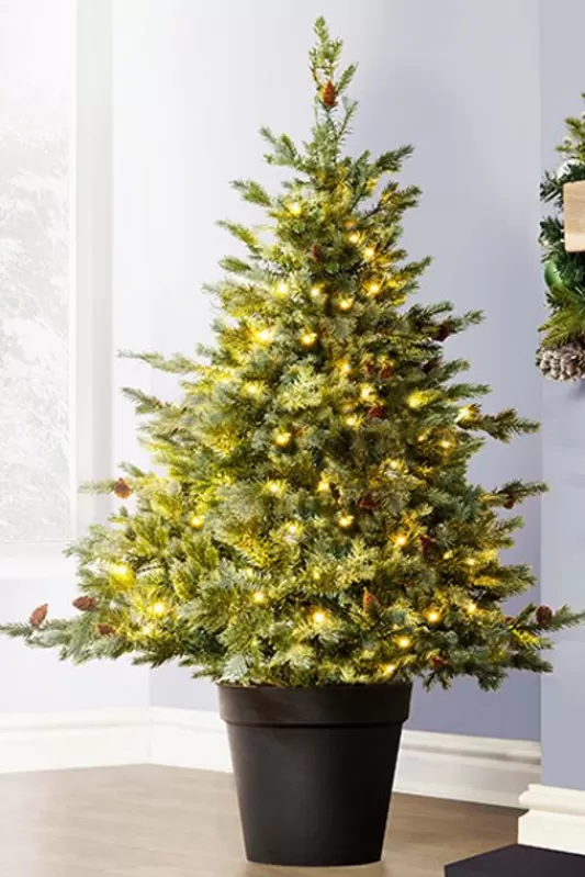 Ultra Realistic Christmas Trees<Christmas Tree World The Pre-Lit Cairngorm Pine Potted Tree (3Ft To 4Ft)