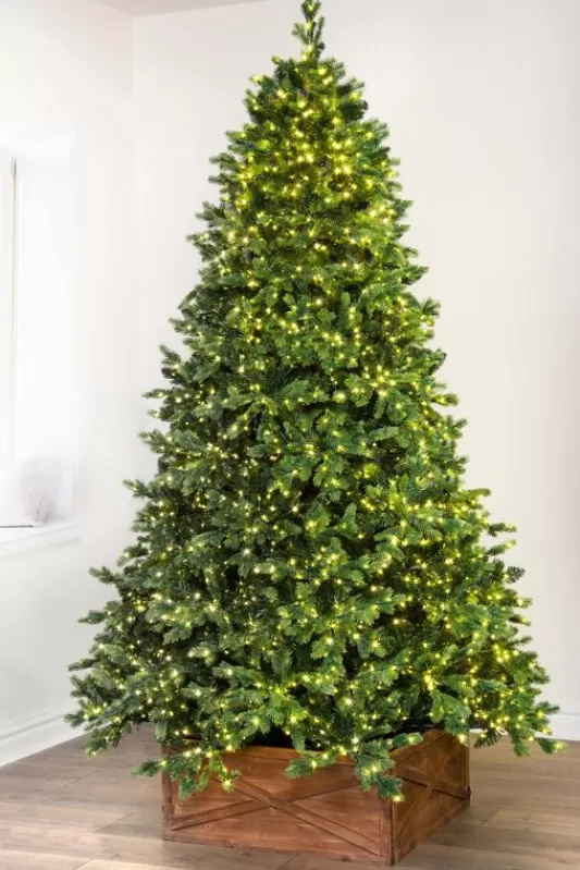 Ultra Realistic Christmas Trees<Christmas Tree World The Ultra-Lit Montagna Fir Tree (6Ft To 8Ft)